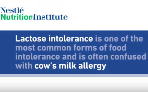 Lactose Intolerance Common Misunderstandings