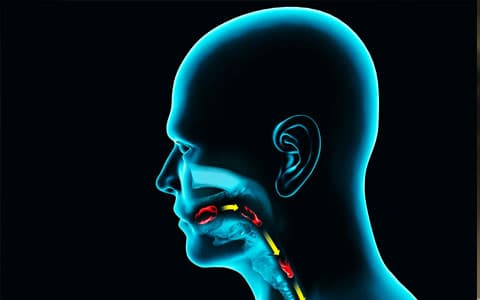 Swallowing process video